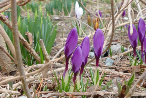 P1070416.JPG