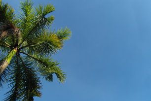 s0.jpg