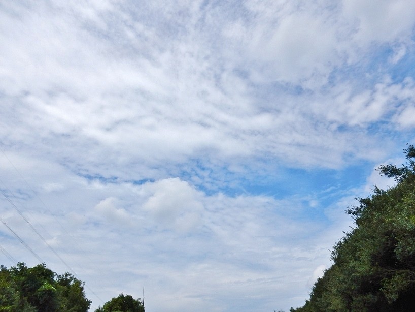 空3.JPG