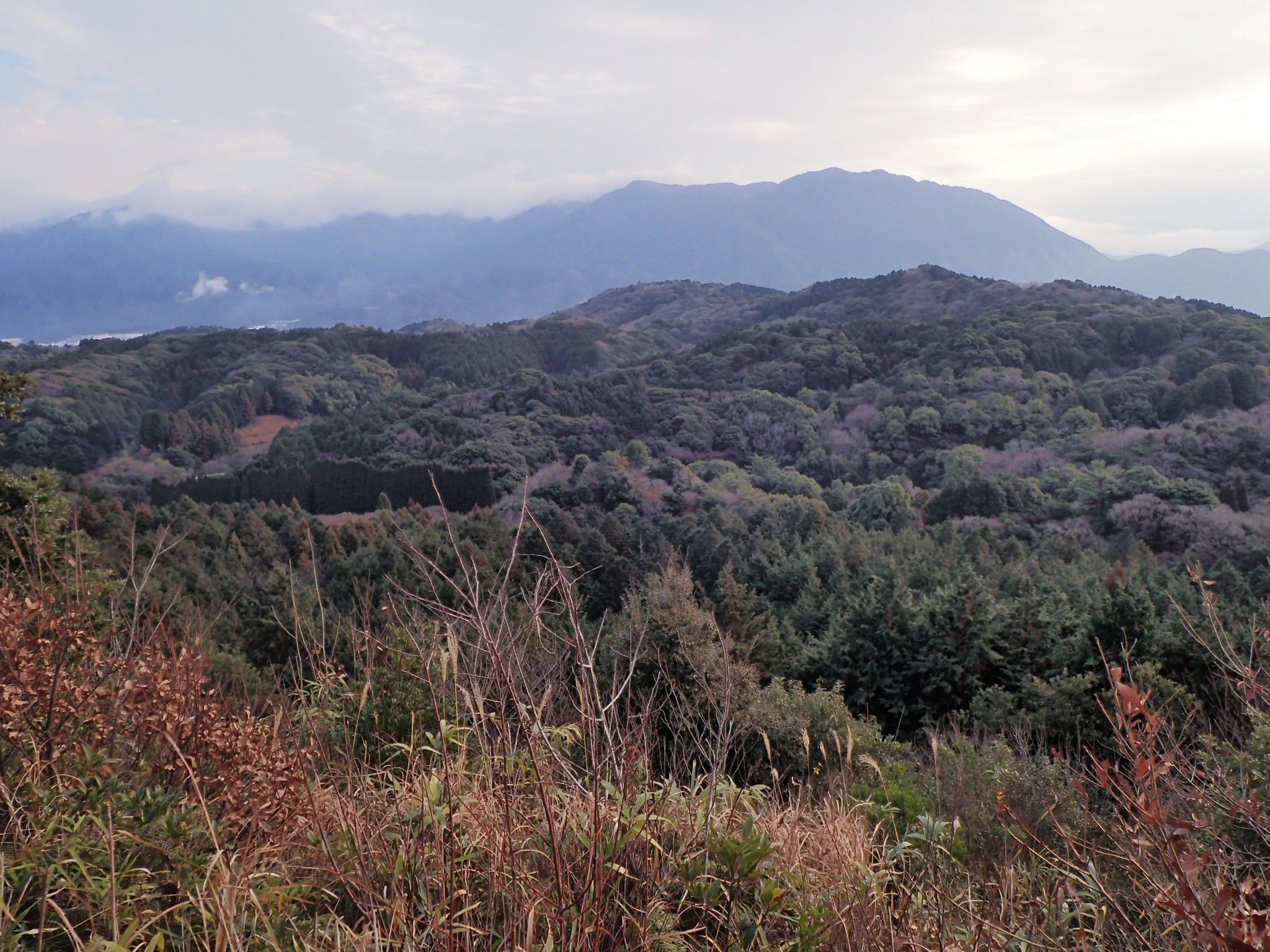 四王寺山 県民の森～大城山 | 九州の山々 - 楽天ブログ