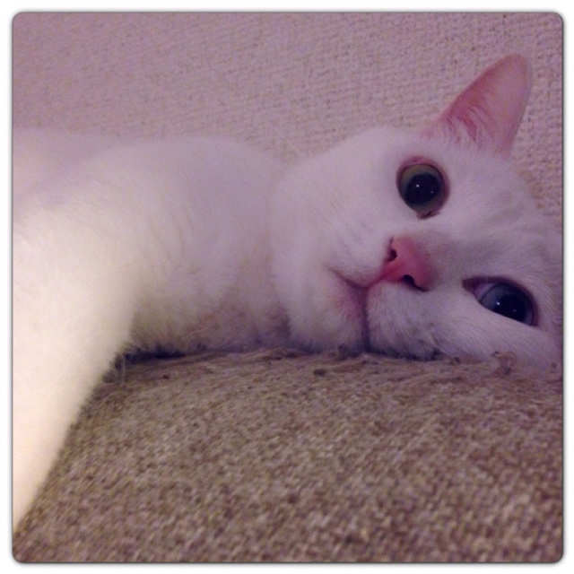 rblog-20130521181834-01.jpg