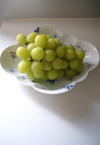 DSC03262.jpg