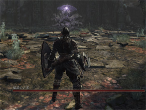 DS88.jpg