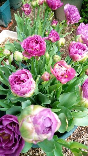 rblog-20180419151543-03.jpg
