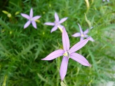 P1020805-1.jpg
