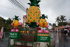 ナゴパイナップルランド (4).JPG