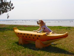 20130429ワニさんと