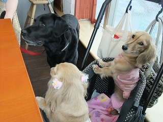DSCF0622.jpg
