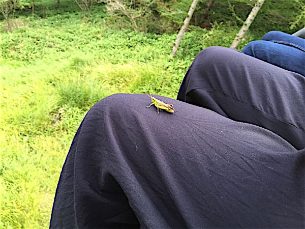 rblog-20150819122209-01.jpg