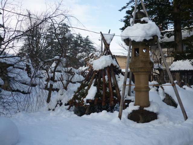 雪囲い.JPG