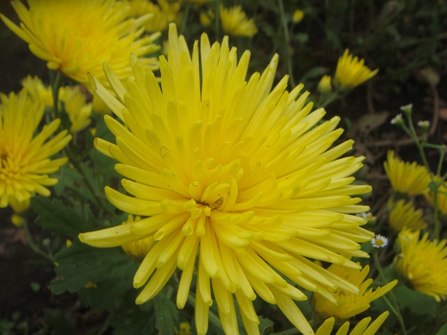 DSC07501_R.JPG