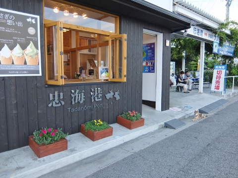 うさぎ島 大久野島 rabbit island bunny