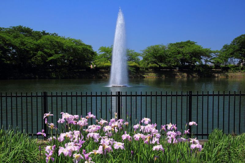 水月公園_004.jpg