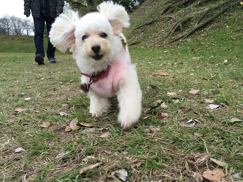 20151223_00.jpg