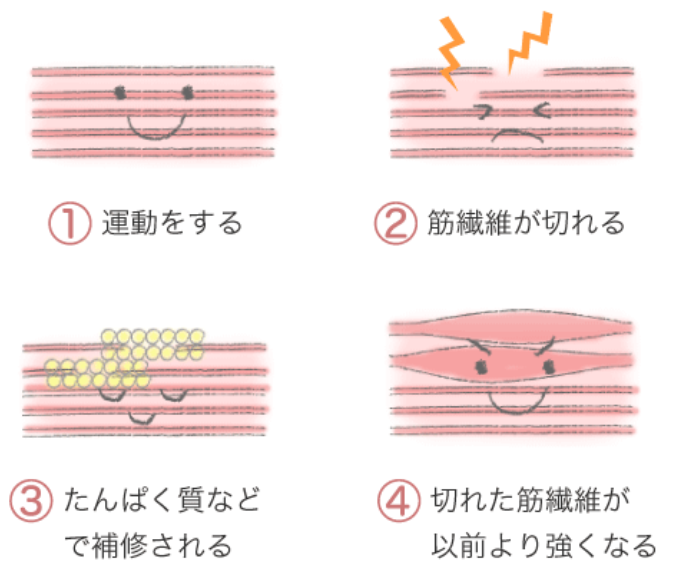 トレーニング 勉強ブログ 楽天ブログ