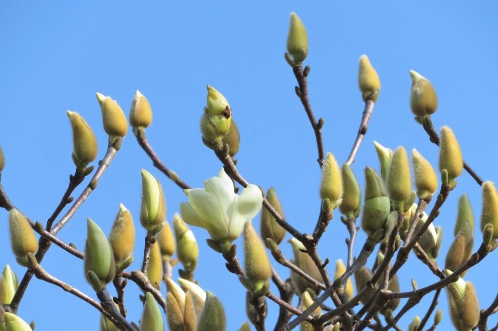 465