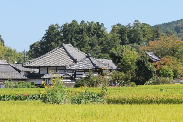 IMG_4697飛鳥寺.JPG