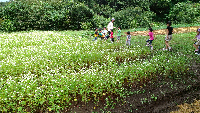 rblog-20130918223344-03.png