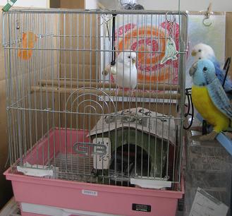 落ち着く