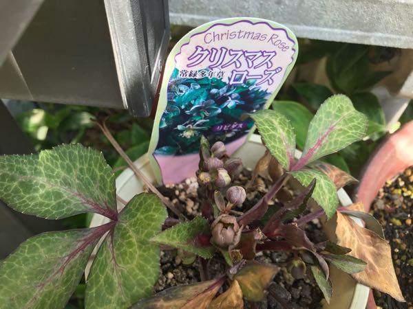 rblog-20190423181829-08.jpg