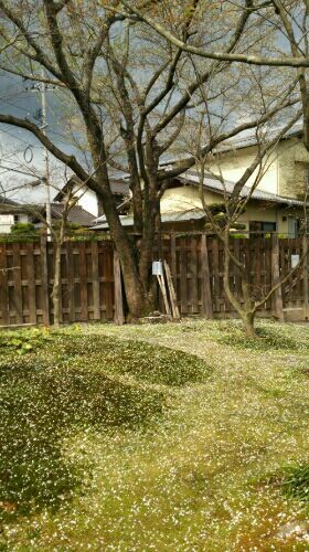 rblog-20170410144030-00.jpg