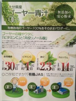 ゴーヤー青汁２