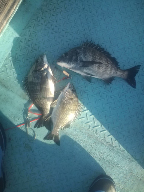 20110910165947.jpg