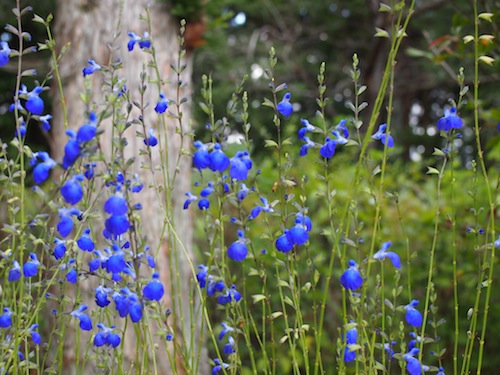 PA071020.JPG