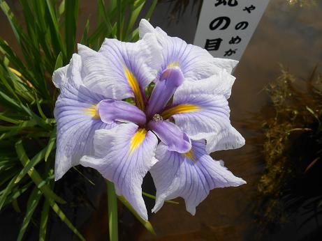 DSCN4352.jpg