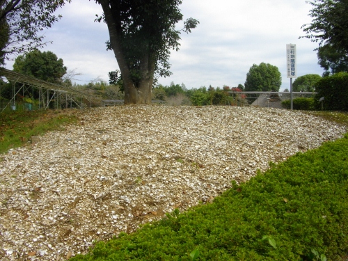 常陸風土記の丘地蔵窪貝塚 (2) (500x375).jpg