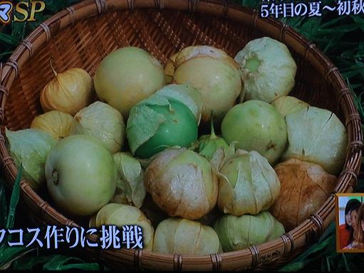 トマティーヨ