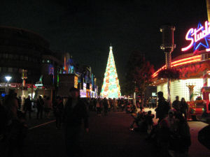 ツリーは、昼も夜も最高でした☆