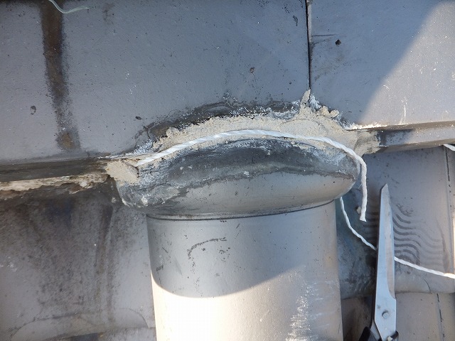 DSCF1357.jpg