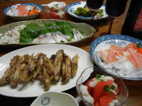 DSCN1631.JPG