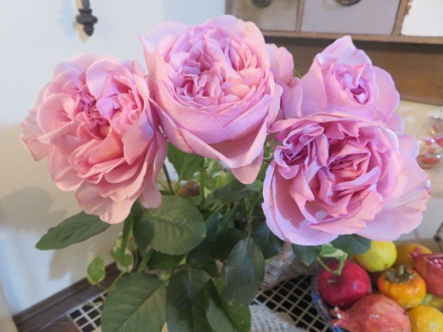 癒しの香りのバラ ショコラロマンチカ をいただいて 夜の庭で発見したこと ばぁばの薔薇の花園 楽天ブログ