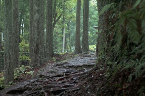 kumano_04.jpg