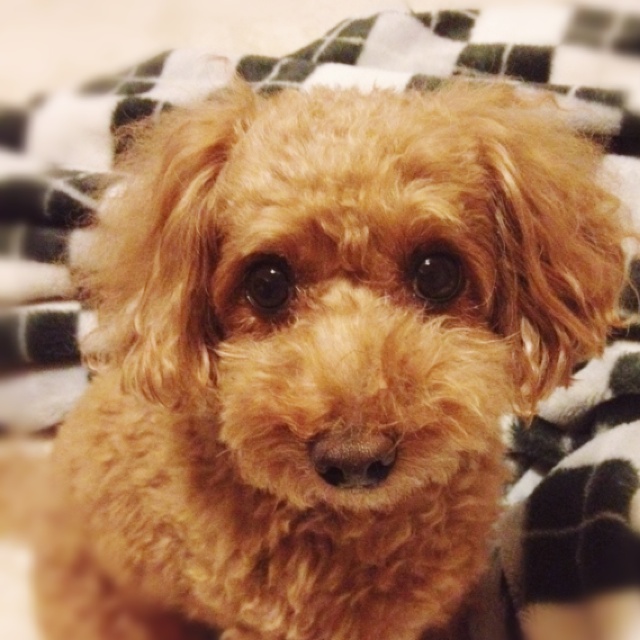 rblog-20131030101427-01.jpg