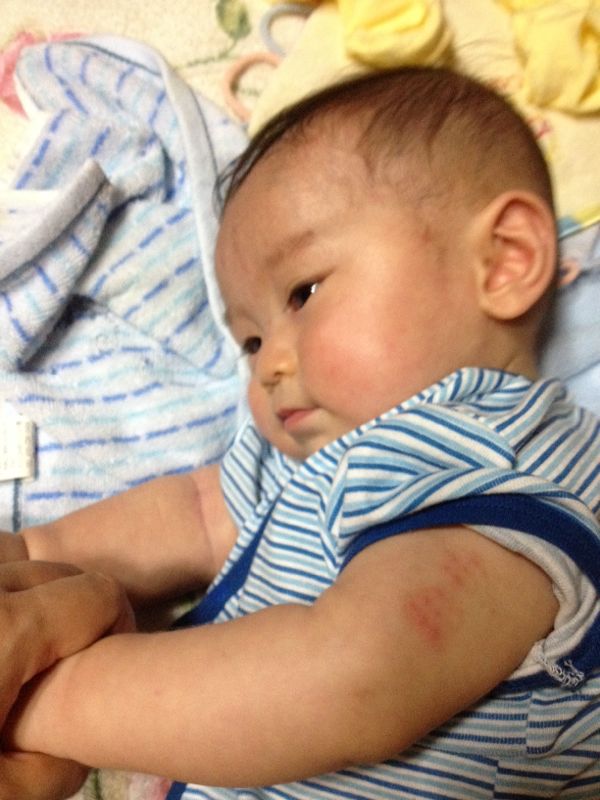 rblog-20140617215218-01.jpg