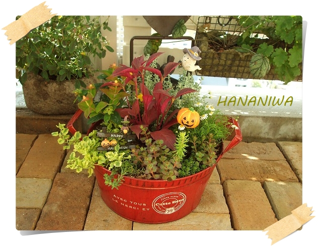2012_0920トレッサ用寄せ植えとクレマチスの講座とカ0003.JPG