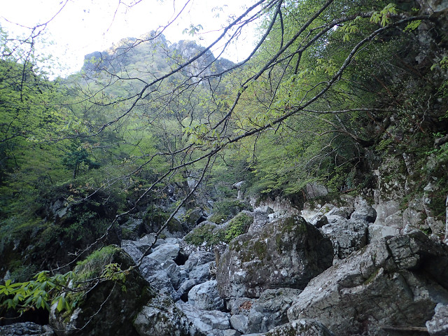 resize0029.jpg