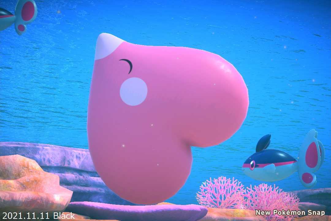 Fish Of Love Game Field 楽天ブログ