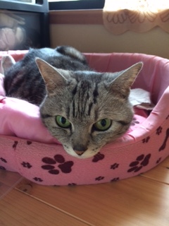 やっぱ