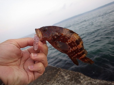 能登釣り06