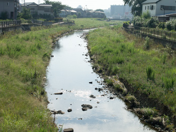 P1010909-1.jpg