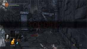 DS26.jpg