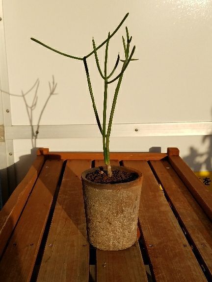 rblog-20180423144200-08.jpg