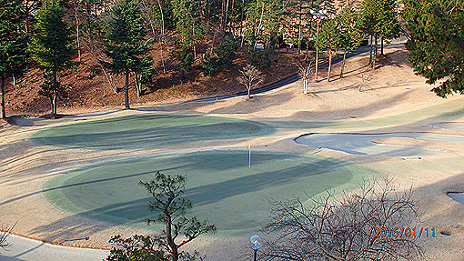 P1112354h2.jpg