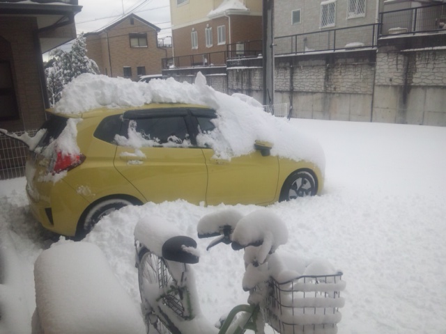 吹雪の翌朝