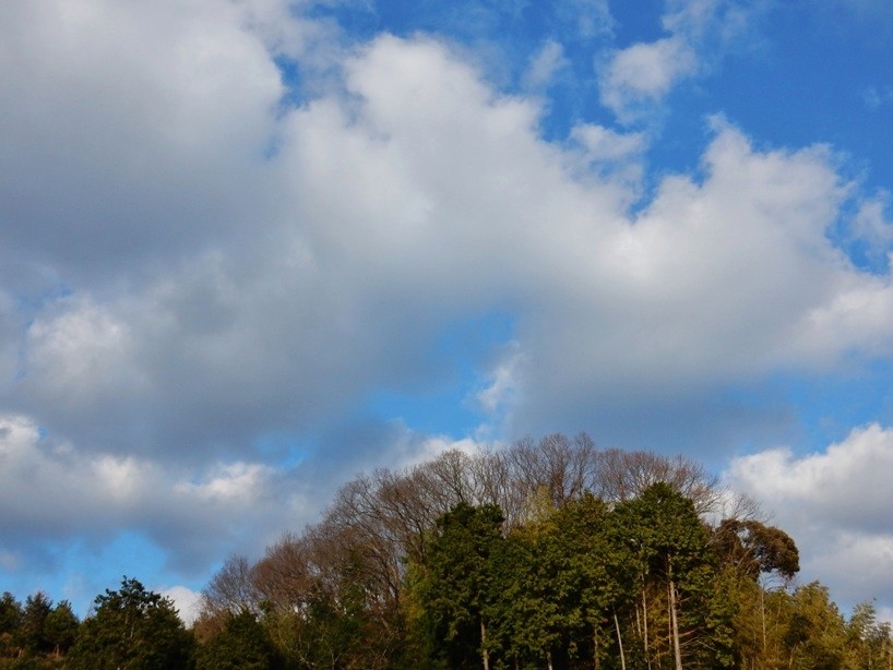 空 3.JPG