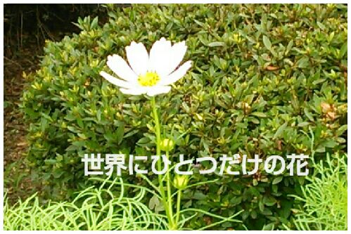 rblog-20160716173217-00.jpg